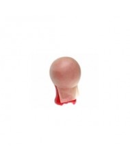 Faux crâne en latex